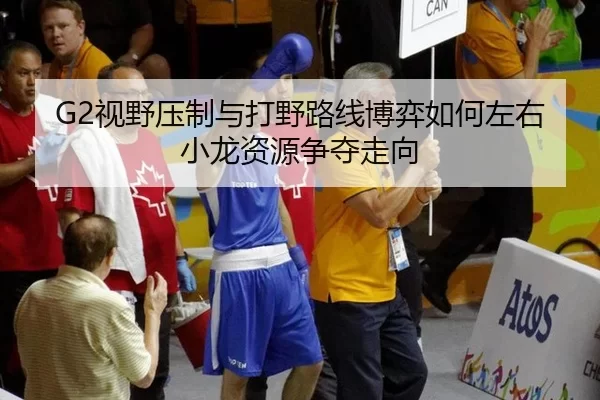 G2视野压制与打野路线博弈如何左右小龙资源争夺走向